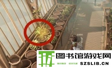哈利波特魔法觉醒不同的植物有不同的用途拼图位置攻略
