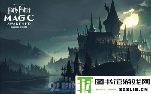 哈利波特魔法觉醒4.jpg