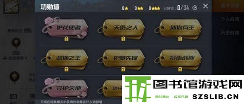和平精英勋章有哪些 和平精英勋章大全