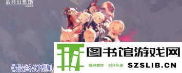 深度解析最终幻想14水晶世界武僧职业的全面攻略与技巧分享