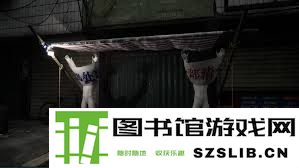 如何获取和分析与无人异常照片相关的详细信息和技术指南