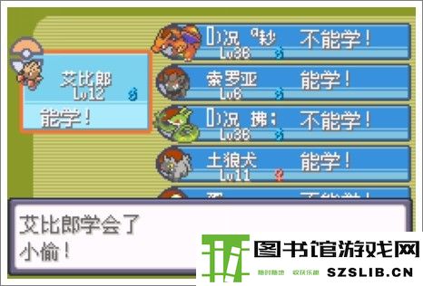 口袋妖怪漆黑的魅影