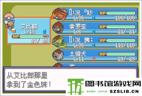 口袋妖怪漆黑的魅影