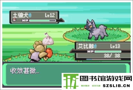 口袋妖怪漆黑的魅影